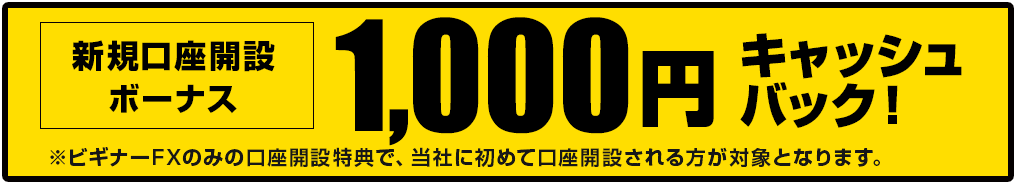 最大101000円キャッシュバック