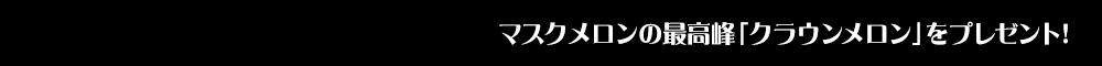 JFX マスクメロンの最高峰 日本一のクラウンメロンプレゼントキャンペーン!