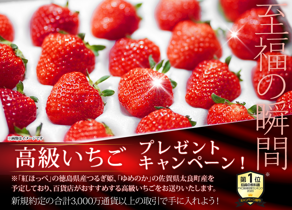 高級いちごプレゼントキャンペーン!
