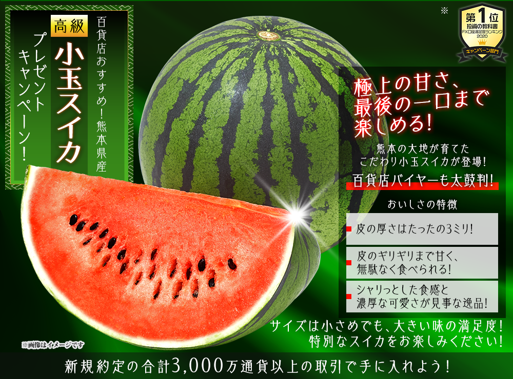 高級小玉スイカプレゼントキャンペーン!