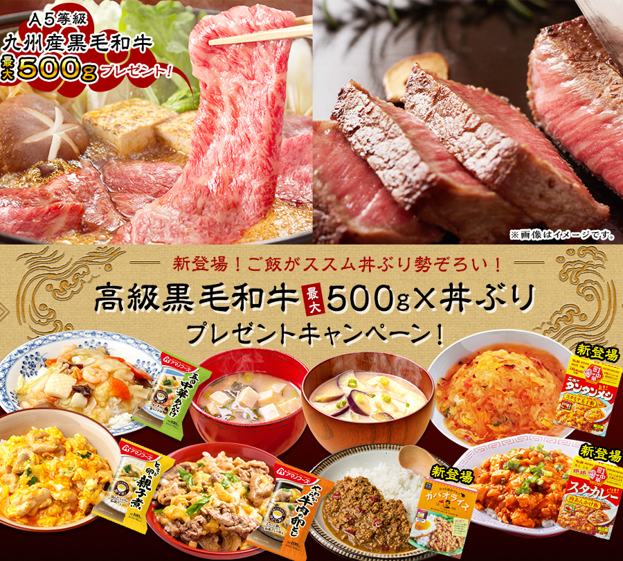 新登場!ご飯がススム丼ぶり勢ぞろい!高級黒毛和牛最大500g×丼ぶりプレゼントキャンペーン!