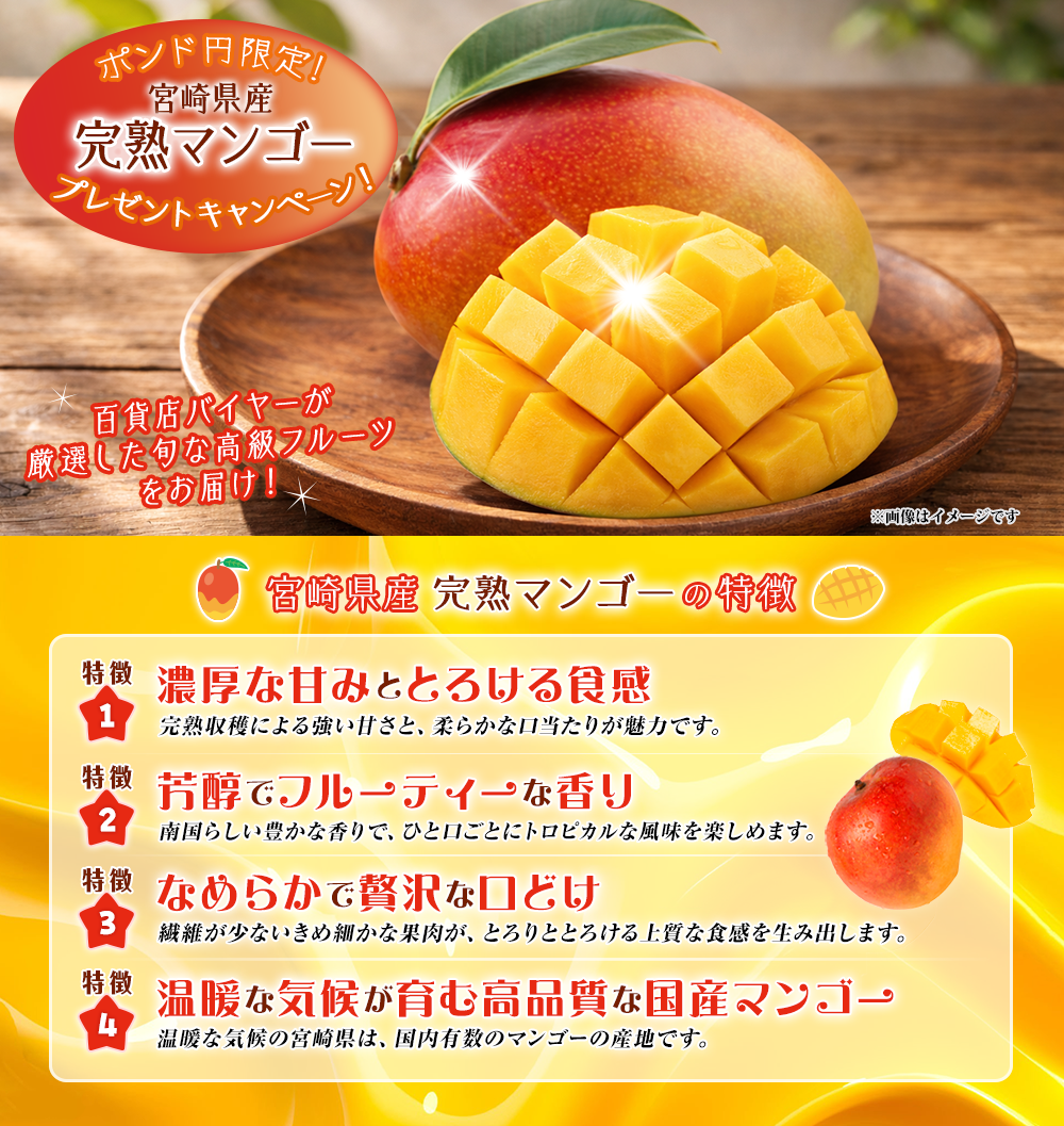 ポンド円限定！宮崎県産完熟マンゴープレゼントキャンペーン!