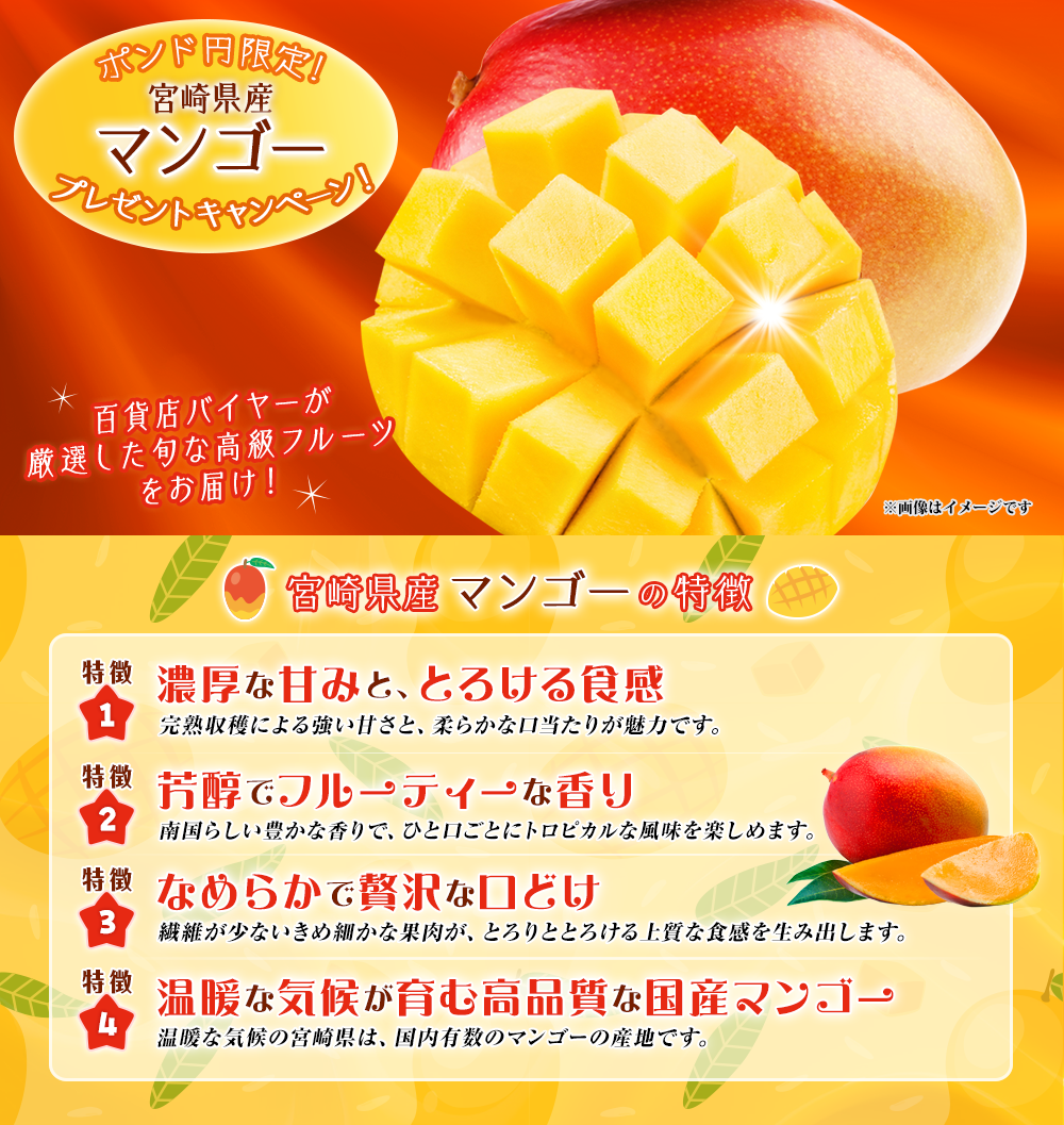 ポンド円限定！宮崎県産 マンゴープレゼントキャンペーン!