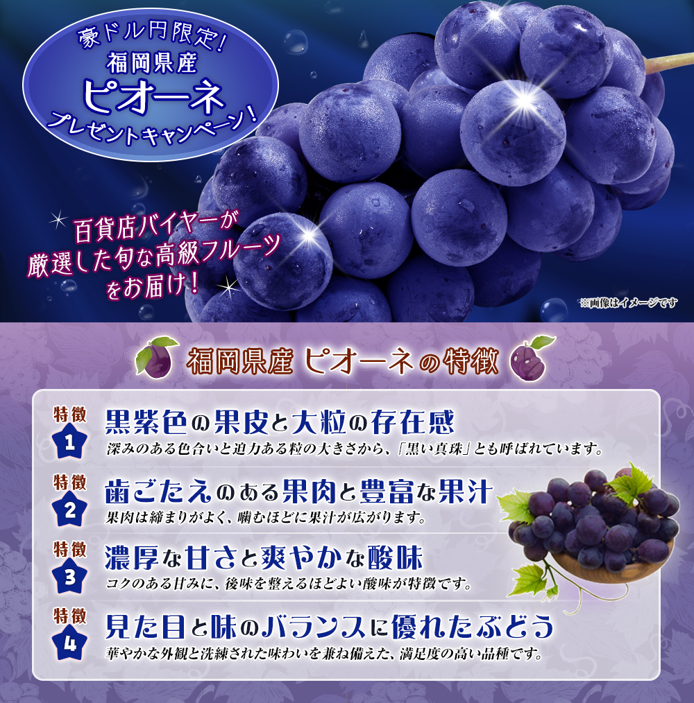 豪ドル円限定！福岡県産　ピオーネプレゼントキャンペーン!