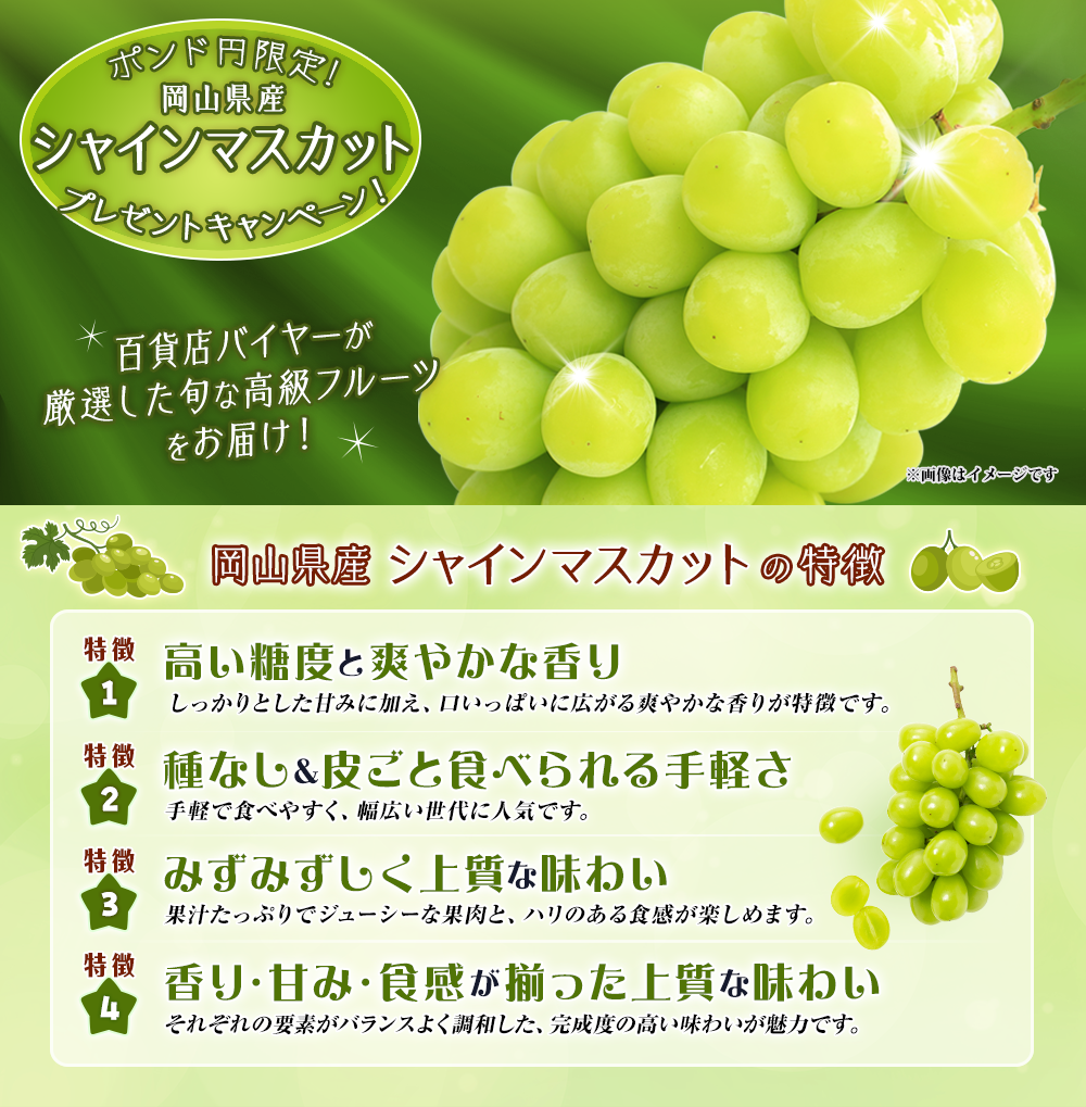 ポンド円限定！岡山県産 シャインマスカットプレゼントキャンペーン!