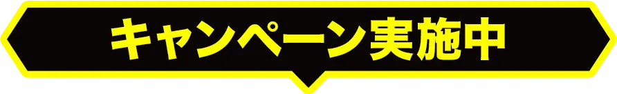 キャンペーン実施中